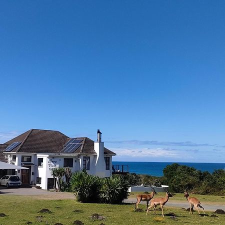 Cove View B&B Ист-Лондон Экстерьер фото
