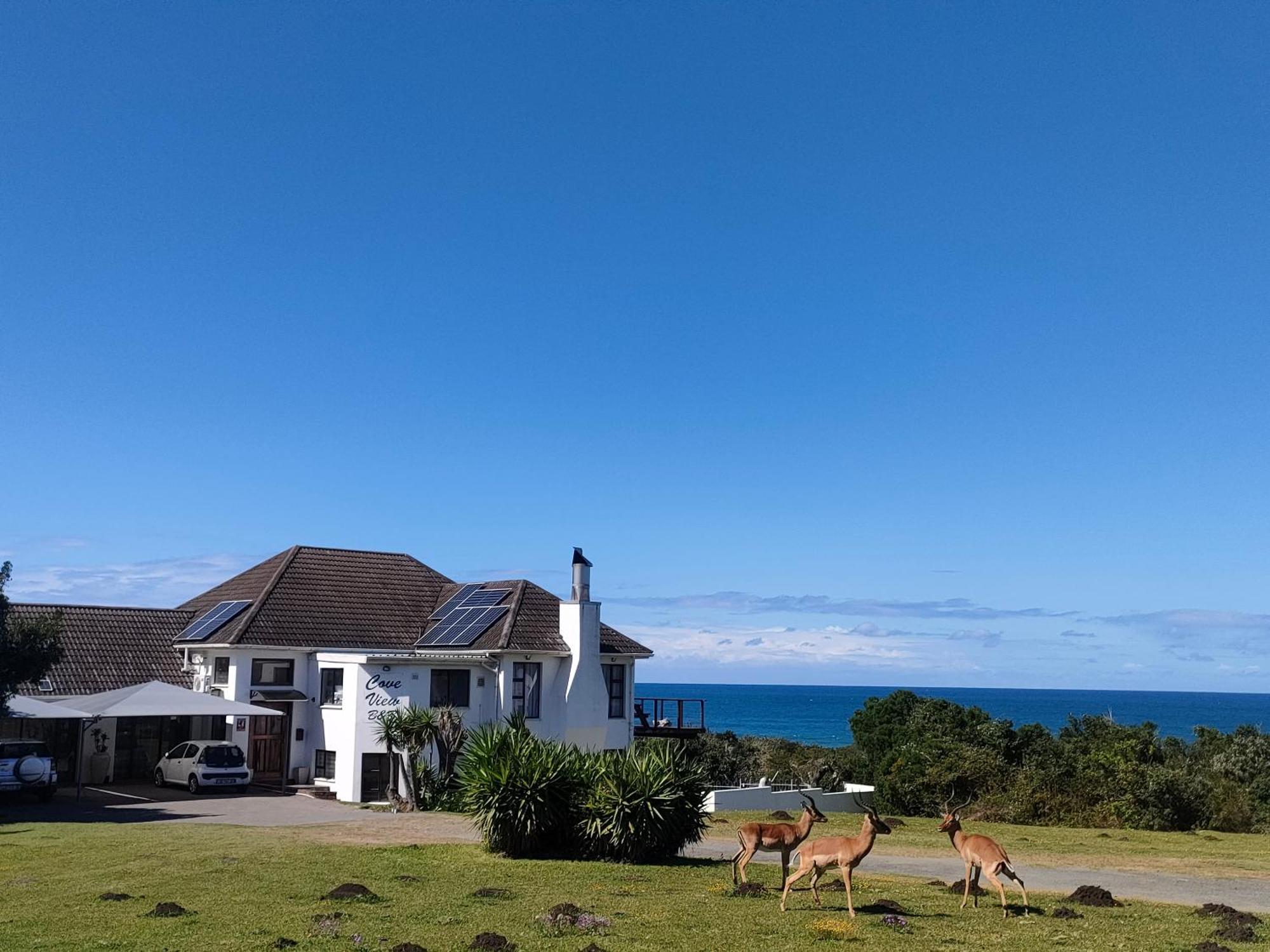 Cove View B&B Ист-Лондон Экстерьер фото